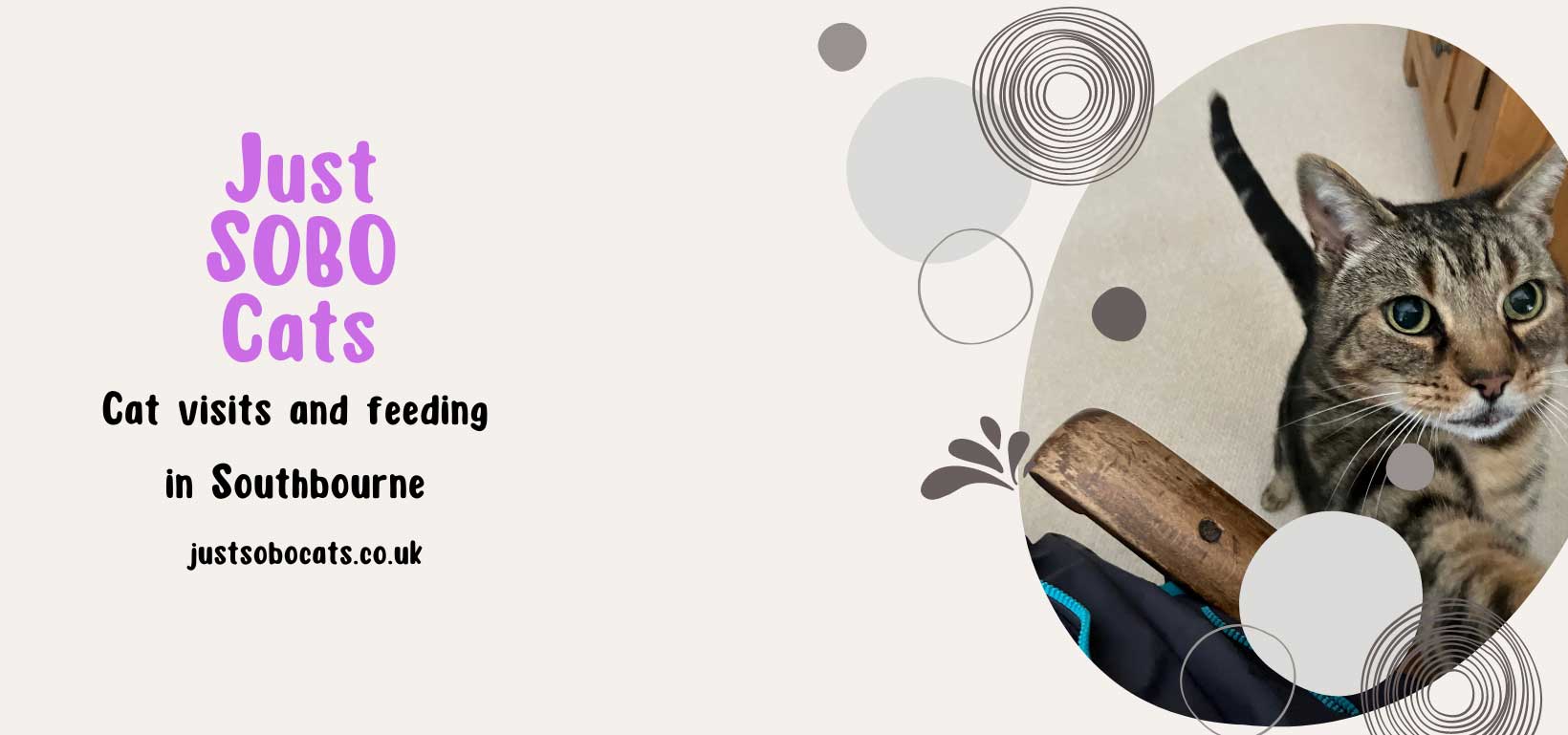 Cat feeds and visits in Southbourne (SOBO)